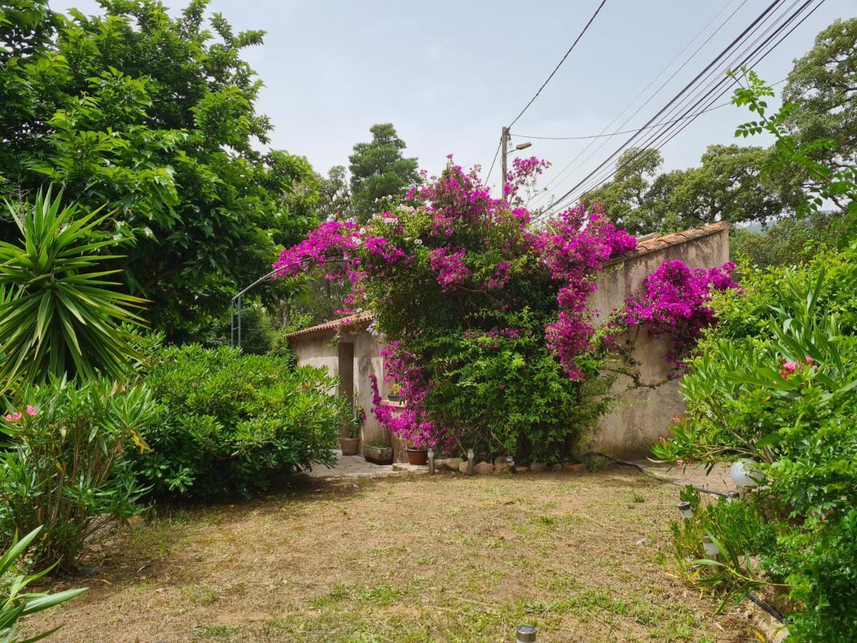 Maisonnette A La Campagne San-Gavino-di-Carbini Экстерьер фото