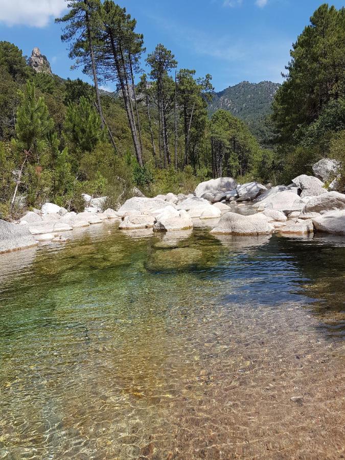 Maisonnette A La Campagne San-Gavino-di-Carbini Экстерьер фото
